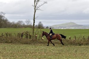 1772637297_1772637297_dsc8256