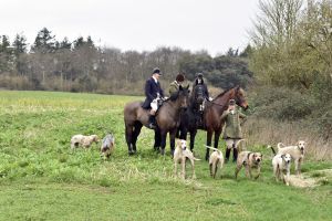 1772637303_1772637303_dsc8270