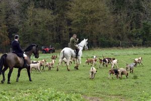 1772637309_1772637309_dsc8278