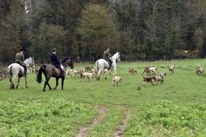 1772637311_1772637311_dsc8280