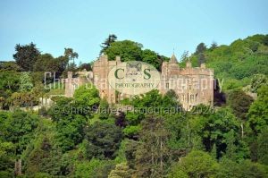 1771329261_1771329261_landscape-01