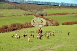 1771329266_1771329266_landscapes003