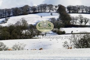 1771329271_1771329271_p1700870