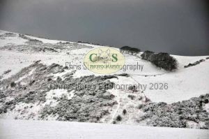 1771329275_1771329275_snow-images003