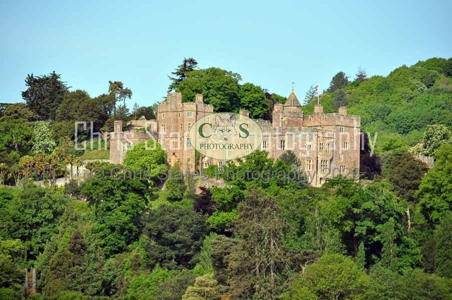 Wildlife and Landscapes