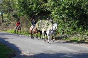 1771320815_0_dsc-1125