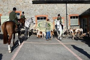 1771320817_2_dsc-1129