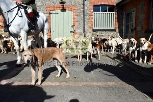 1771320826_10_dsc-1149