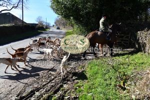 1771320847_29_dsc-1203