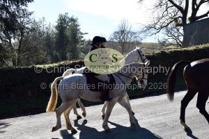 1771320977_3_dsc-1223