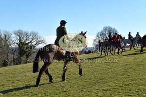 1771320991_16_dsc-1250