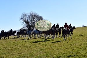 1771320992_17_dsc-1252