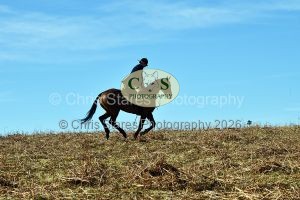 1771321004_28_dsc-1283