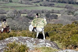 1771321012_35_dsc-1294