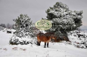 1771328953_1771328953_dsc-0835