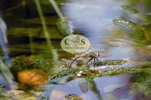 1771328972_1771328972_p1710322