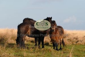 1771328980_1771328980_p1730332