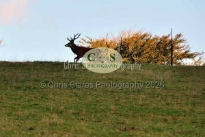 1771328999_1771328999_wildlife-004